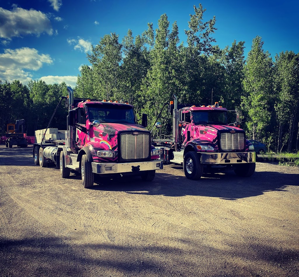 Conteneur Rose | Location et gestion de conteneurs | 4359 Bd Dagenais O, Laval, QC H7R 1L3, Canada | Phone: (450) 900-0011