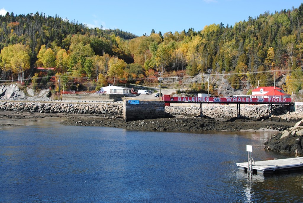 Croisières AML | Billetterie Baie-Sainte-Catherine | 159 QC-138, Baie-Sainte-Catherine, QC G0T 1A0, Canada | Phone: (866) 856-6668