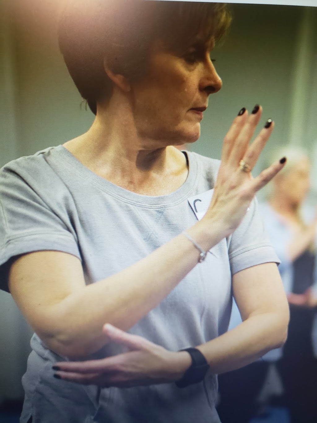 Plum Blossom Tai Chi Academy-Alberta | Elderwood Pl SE, Airdrie, AB T4B 2G2, Canada | Phone: (587) 999-3694