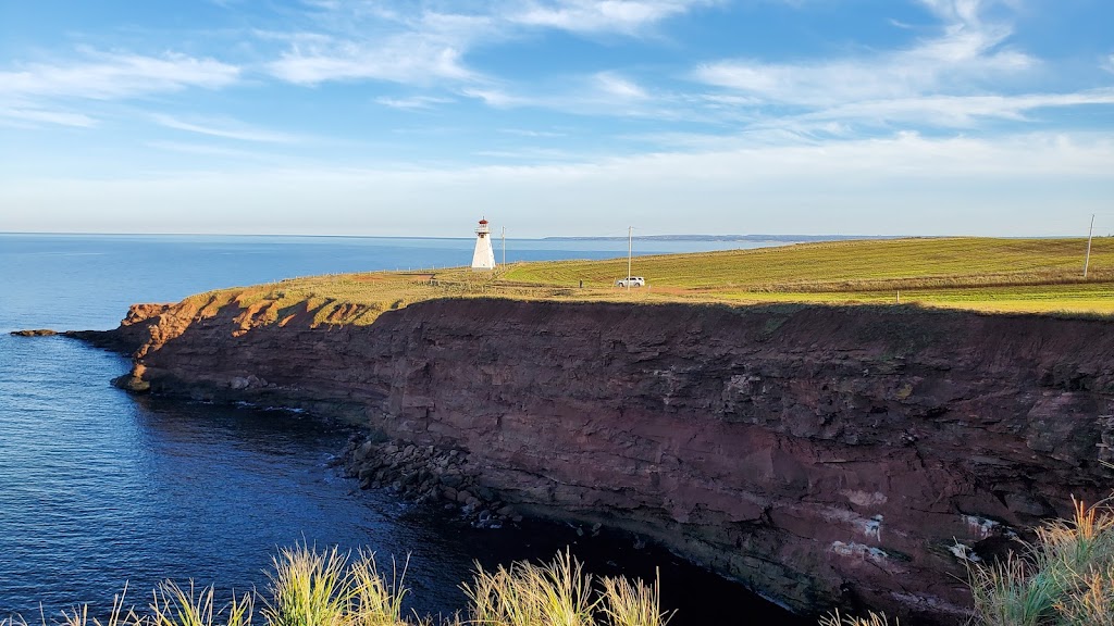 Island Enterprises | 94 Maplewood Dr, Summerside, PE C1N 5E6, Canada | Phone: (226) 213-1967