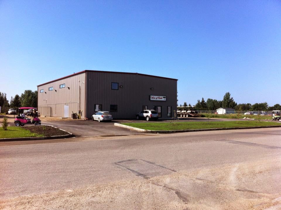 Ace of Carts | 127 Wheeler St, Saskatoon, SK S7P 0A4, Canada | Phone: (306) 664-2582
