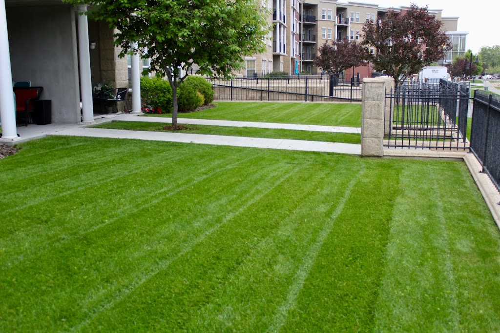 Harder & Sons Exterior Maintenance Services Inc. | 27 Balsam Ave #5, Bragg Creek, AB T0L 0K0, Canada | Phone: (403) 949-3442