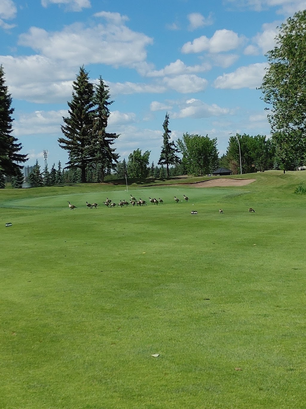 Mill Woods Golf Course 4540 50 St NW, Edmonton, AB T6L 6P6, Canada