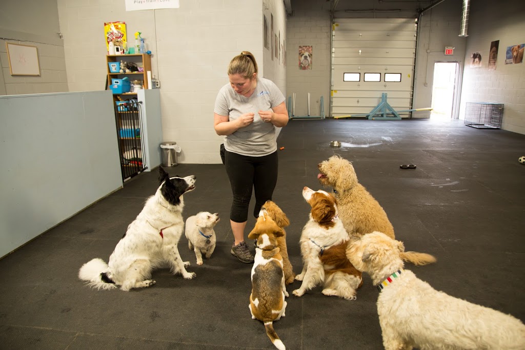 Unleash the Pawsitive | 1119 Goderich St, Port Elgin, ON N0H 2C0, Canada | Phone: (519) 708-0470
