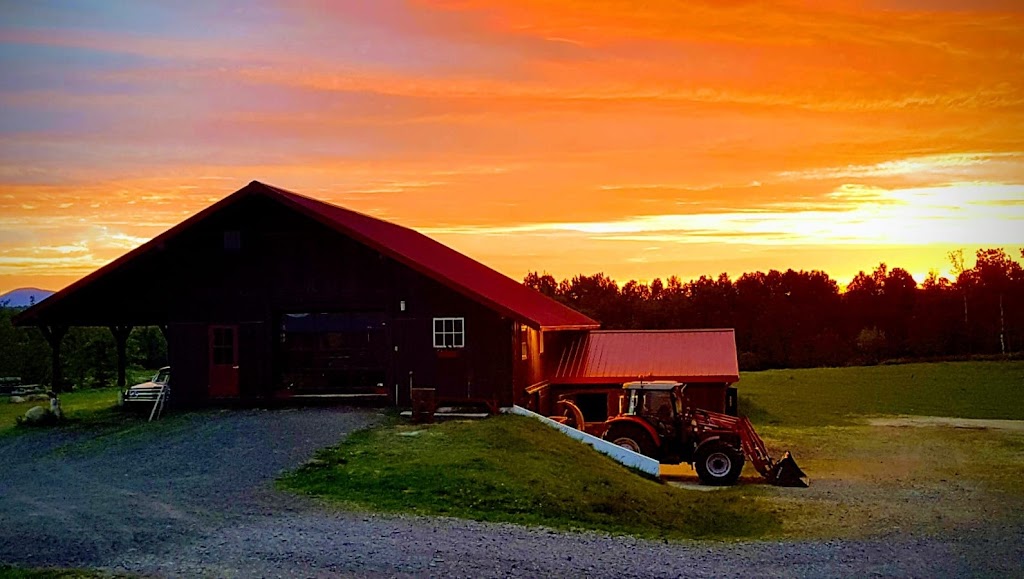 Cheval et campagne | 31 Rue des Grands Prés, Saint-Ferréol-les-Neiges, QC G0A 3R0, Canada | Phone: (418) 572-1922
