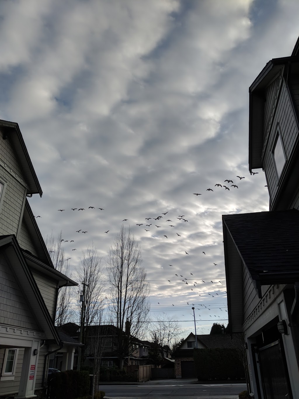 London Park | 6440 Williams Rd, Richmond, BC V7E, Canada | Phone: (604) 668-6668