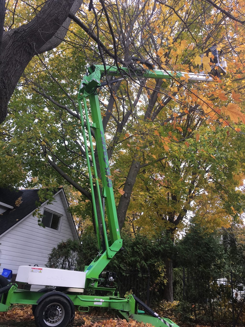 TAS Tree Removal & Pruning | 2343 Pl. des Musiciens, Saint-Lazare, QC J7T 3C6, Canada | Phone: (514) 701-2684