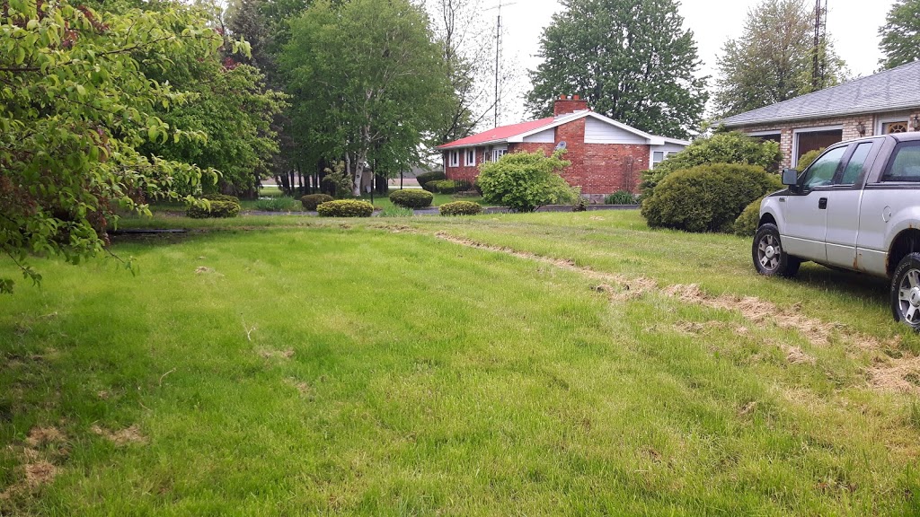Unique LawnAnd Gardens | Blenheim, ON N0P 1A0, Canada | Phone: (226) 626-1643