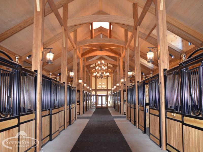 System Equine | 14321 5 Line, Rockwood, ON N0B 2K0, Canada | Phone: (519) 856-9959