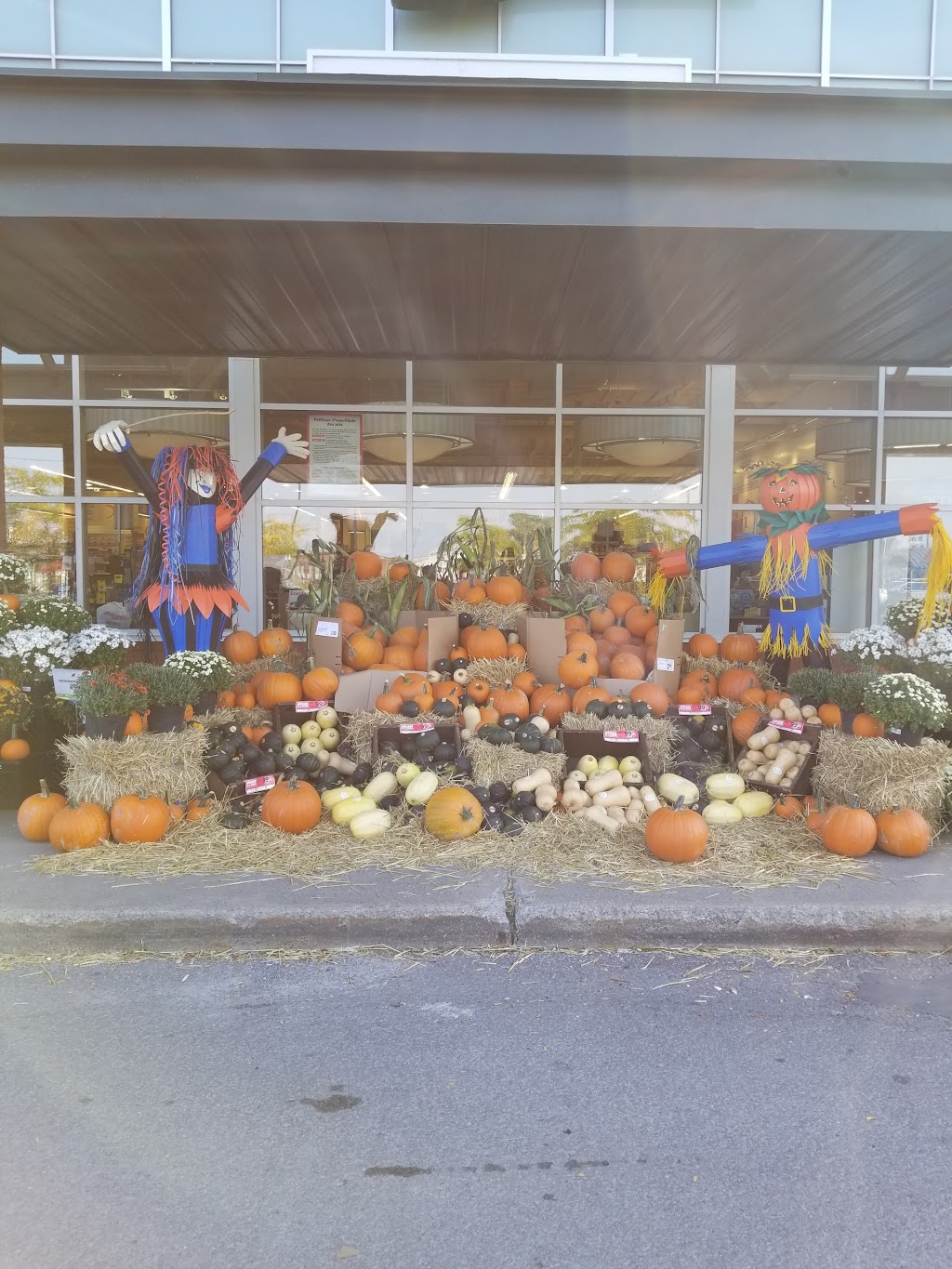 Metro Plus St-Constant | 300 QC-132, Saint-Constant, QC J5A 1L9, Canada | Phone: (450) 638-9022