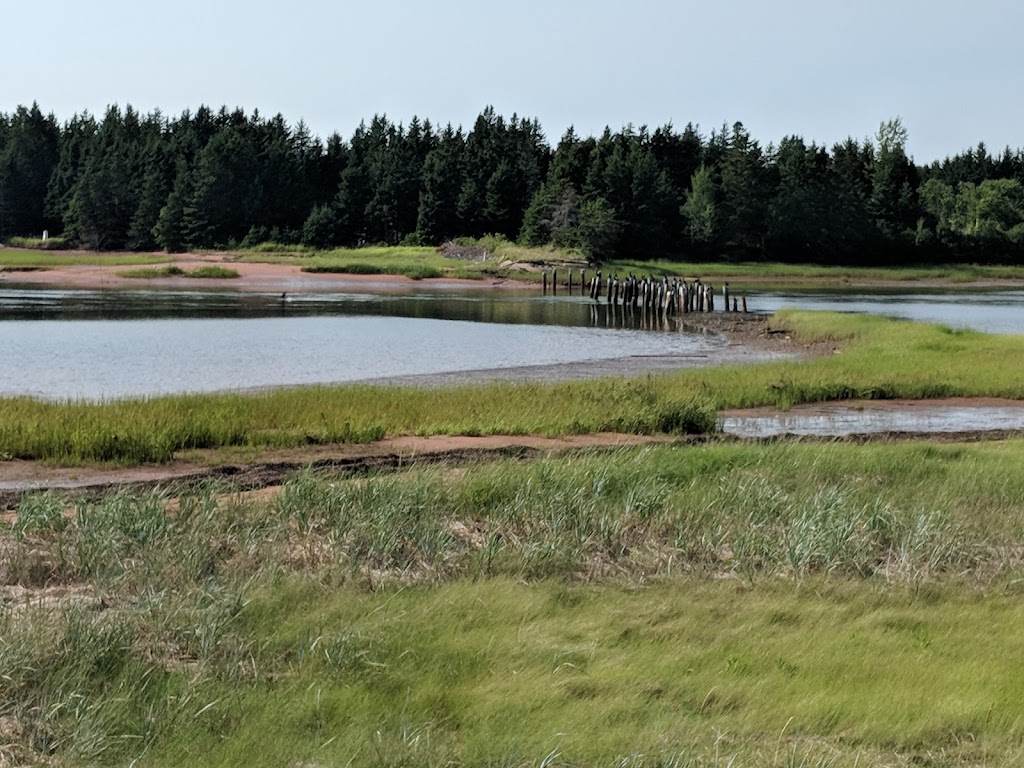 Pinette Park Provincial Park | 3829 Trans-Canada Hwy, Belfast, PE C0A 1A0, Canada | Phone: (902) 368-4404
