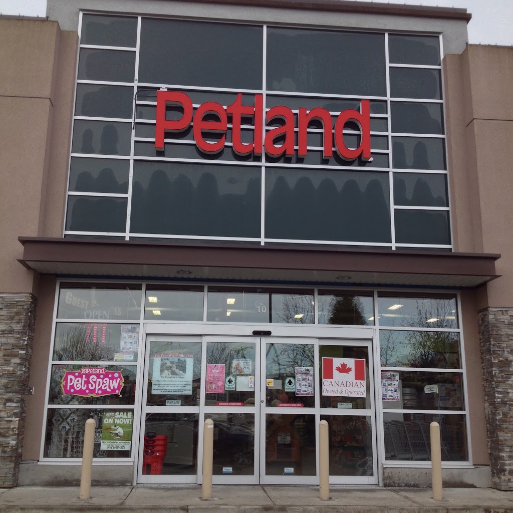 Petland - Grandview | 2215 160 St #10, Surrey, BC V3S 9N6, Canada | Phone: (604) 541-2329