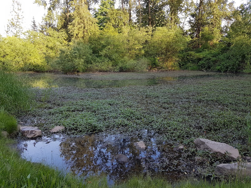 Gardner Park | 31070 Gardner Ave, Abbotsford, BC V2T 5E4, Canada | Phone: (604) 855-0500