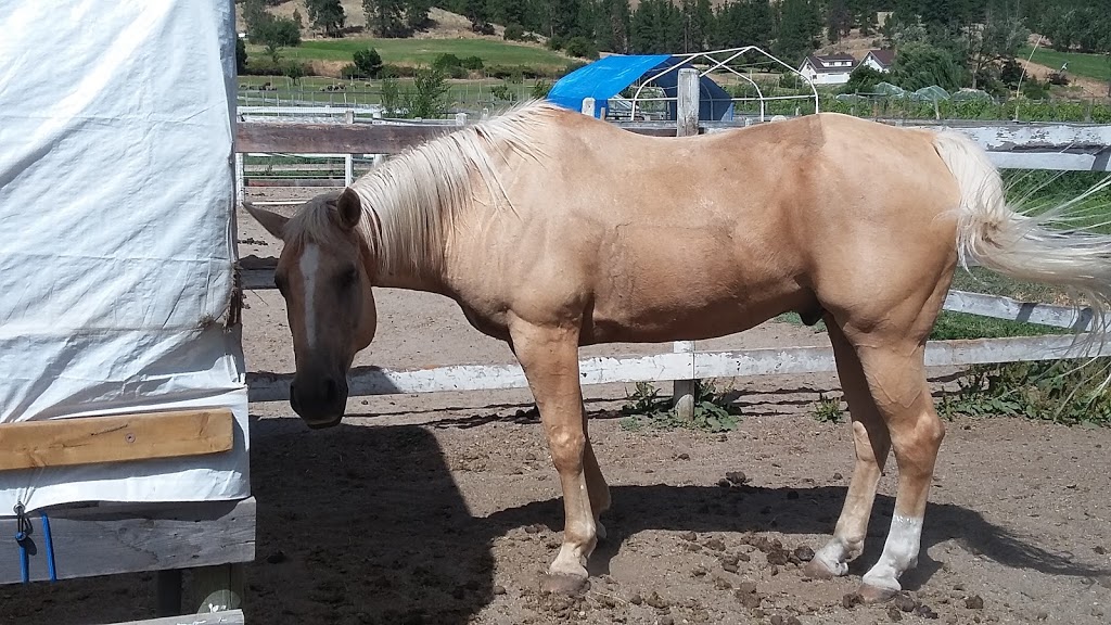 Red Barn Ranch | 15902 Prairie Valley Rd, Summerland, BC V0H 1Z8, Canada | Phone: (250) 494-8198