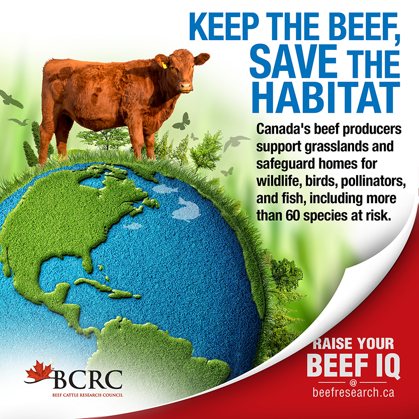Beef Cattle Research Council | 6815 8 St NE #180, Calgary, AB T2E 7H7, Canada | Phone: (403) 275-8558