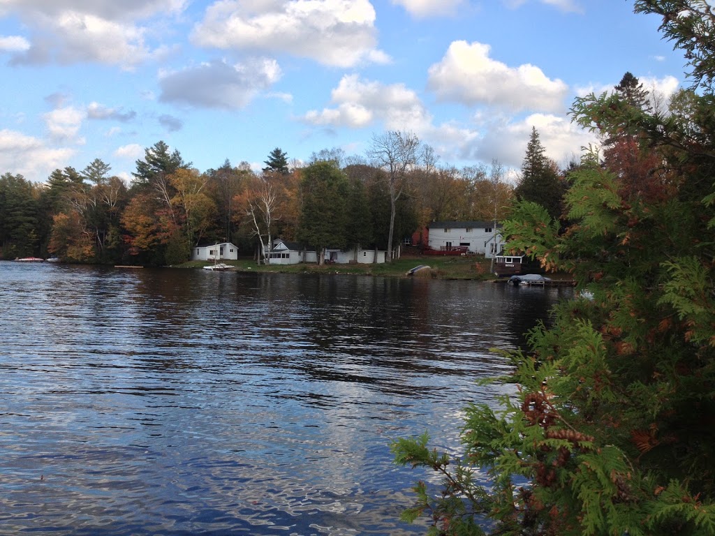 Hyatts Glen Haven Resort | Affordable,Holiday, water front Reso | 1694 Gull Lake Rd, Arden, ON K0H 1B0, Canada | Phone: (613) 336-2325