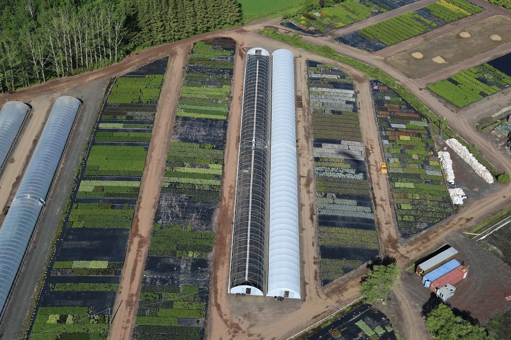 Multiplants | 440 Rang Bois-Franc, Saint-Apollinaire, QC G0S 2E0, Canada | Phone: (418) 881-2477