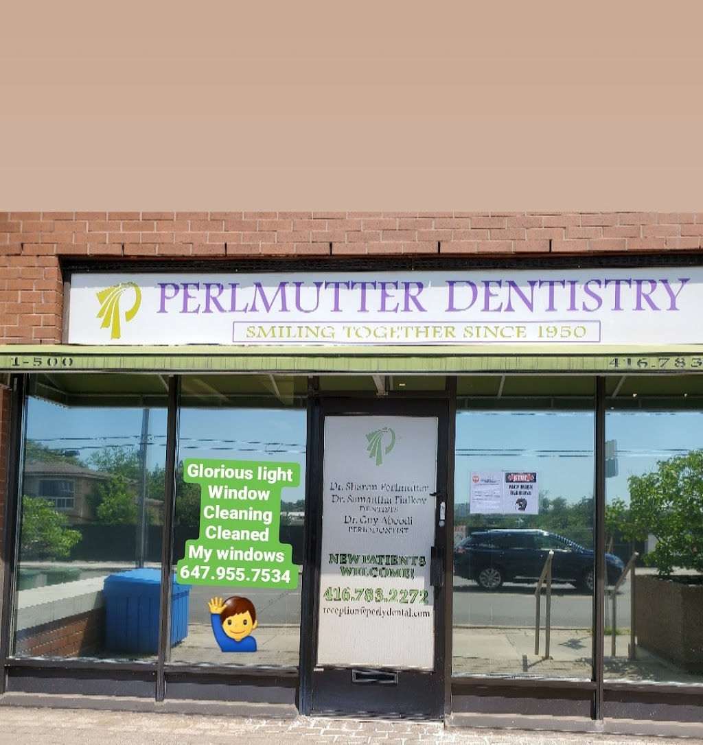 Glorious Light Window & Eaves Cleaning | 118 Lomar Dr, Toronto, ON M3N 1Z4, Canada | Phone: (647) 955-7534