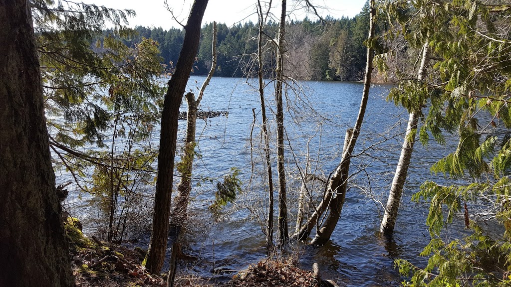 Elk / Beaver Lake Regional Park | Patricia Bay Hwy, Victoria, BC V8Y 2T6, Canada