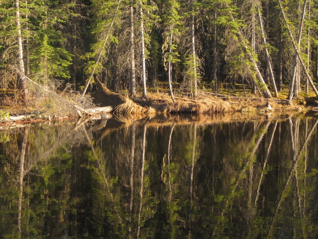 Beaverdam Provincial Recreation Area | Range Rd 145A, Clearwater County, AB T0M 2H0, Canada | Phone: (855) 721-3975