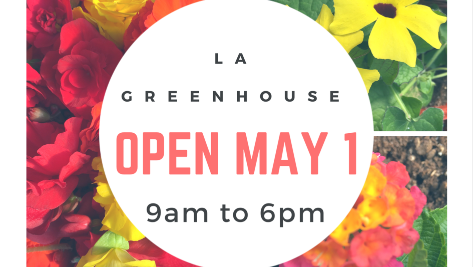 La Greenhouse | 29553-29579 range road 24, Box 18 Site 2 RR 2, Carstairs, AB T0M 0N0, Canada | Phone: (403) 337-0036