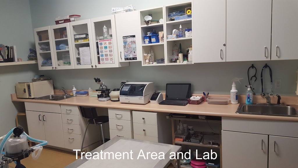 Orchard Animal Hospital | 2020 Appleby Line, Burlington, ON L7L 6M6, Canada | Phone: (905) 634-4526