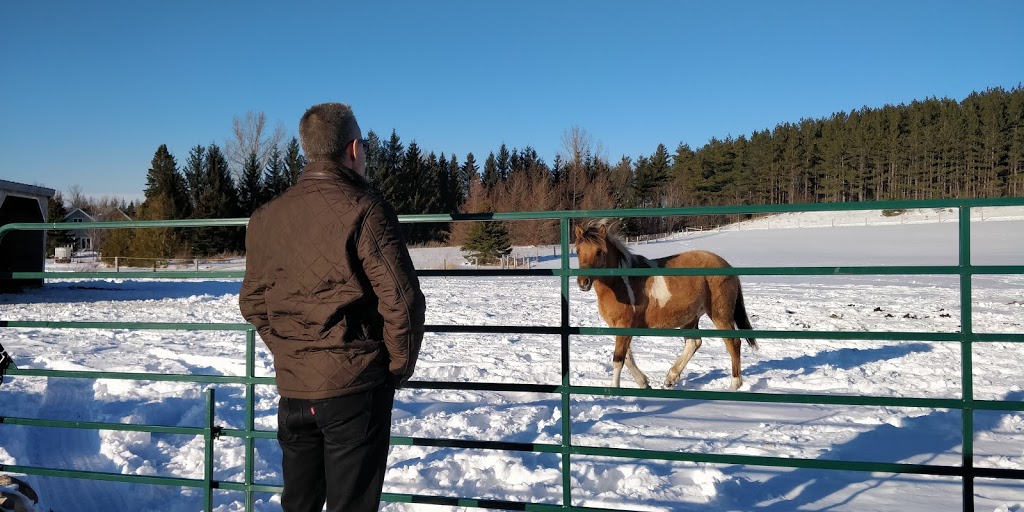 Osprey Bluffs Honey Company | 634386 63 road, Singhampton, ON N0C 1M0, Canada | Phone: (647) 272-5006