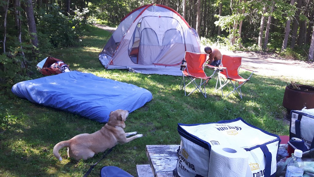 Beachview Campground | 2449 NB-530, Grande-Digue, NB E4R 5G7, Canada | Phone: (506) 576-1118