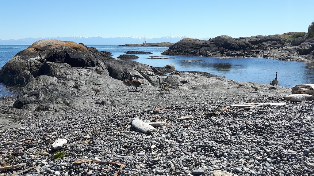 McMicking Point | 659 Radcliffe Ln, Victoria, BC V8S 5B8, Canada