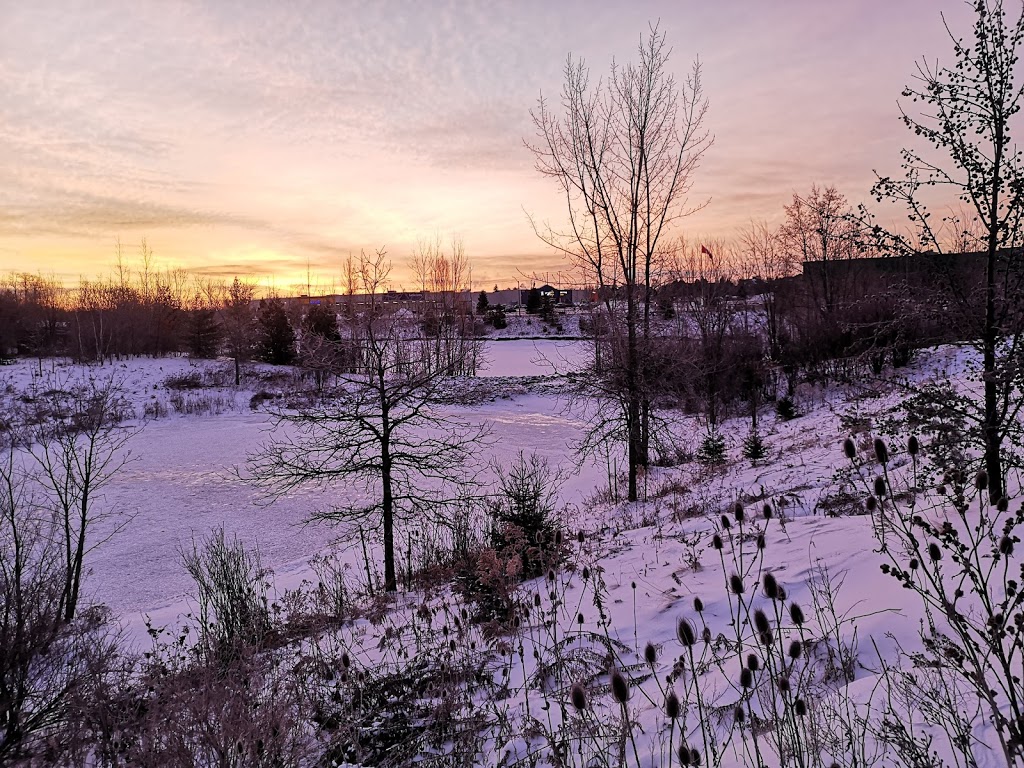 Heron Pond | Richmond Hill, ON L4S 1X3, Canada
