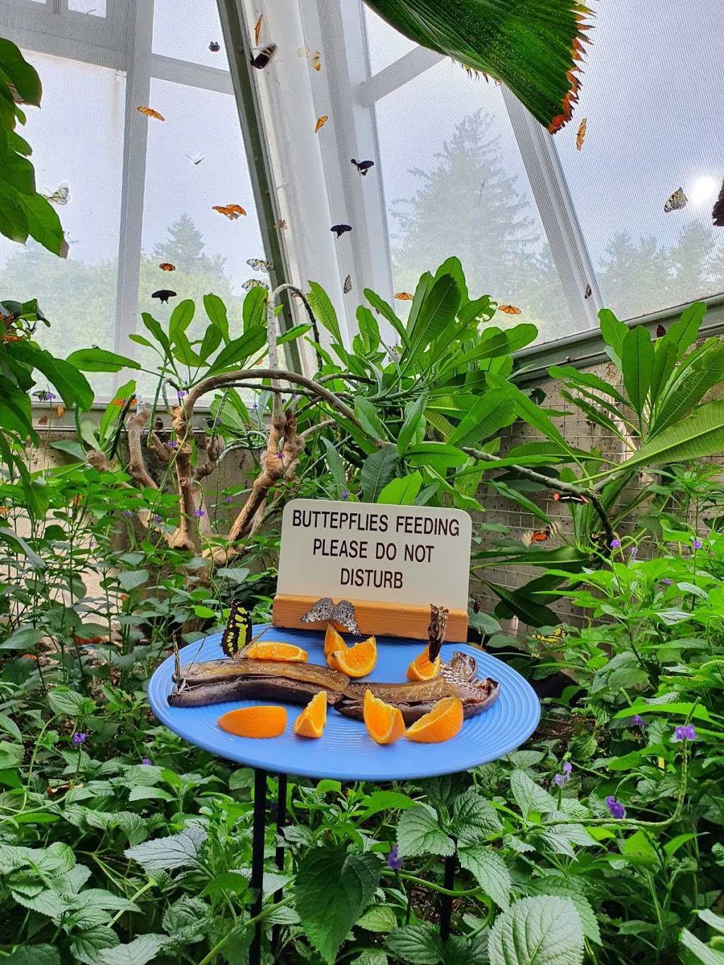 Butterfly Conservatory Parking | 2565 Niagara Pkwy, Niagara-on-the-Lake, ON L0S 1J0, Canada | Phone: (905) 358-0025