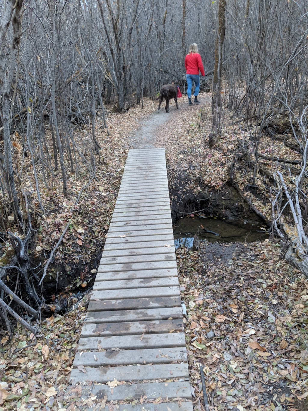 Peturrsons Ravine | Saskatoon, SK S7N 2G7, Canada