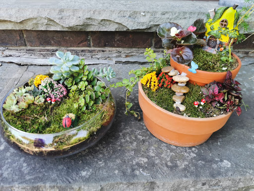 Mini Garden Store | 50 Windsor Rd, Georgetown, ON L7G 4W7, Canada | Phone: (289) 683-9195