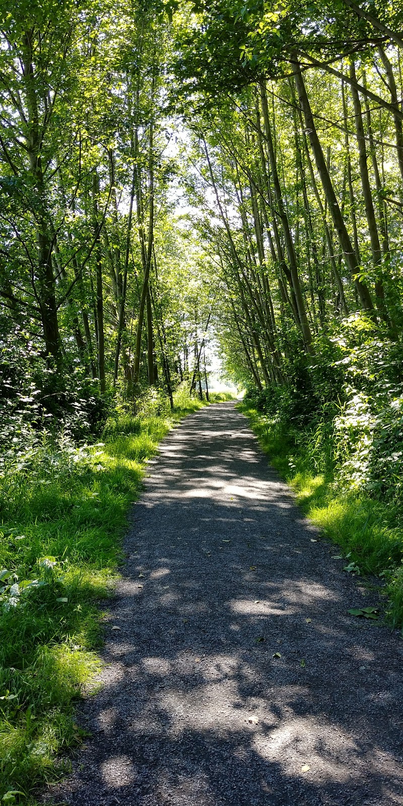 Hovander Homestead Park | 5299 Nielsen Ave, Ferndale, WA 98248, USA | Phone: (360) 384-3444