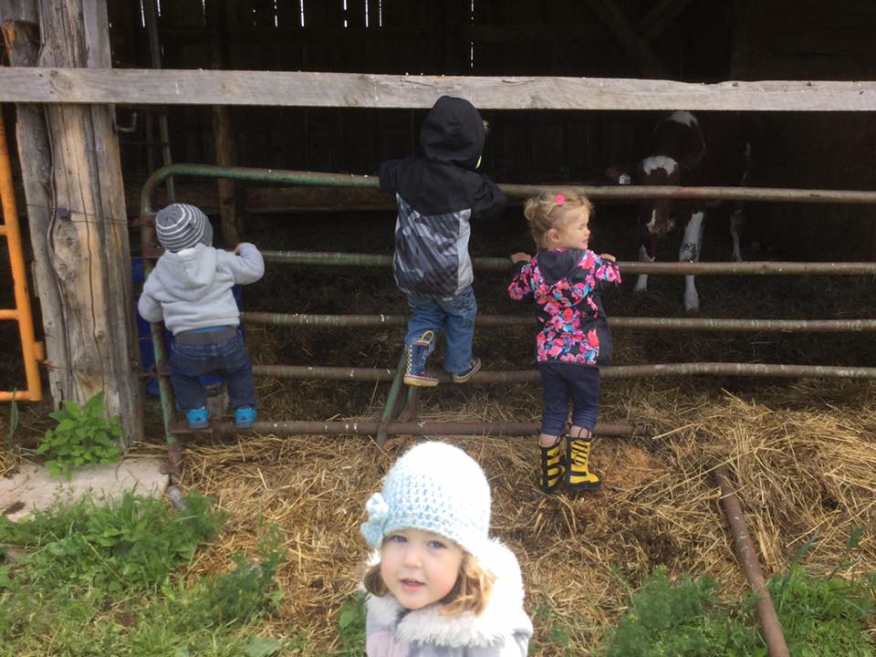 Elgin & District Cooperative Nursery School | 77 Main St, Elgin, ON K0G 1E0, Canada | Phone: (613) 359-6611
