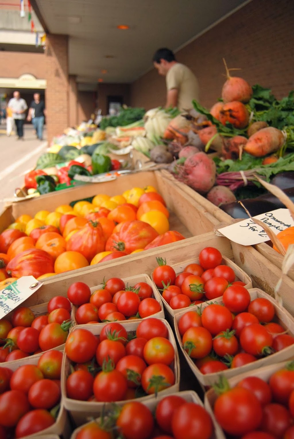 River Bell Organic Market Garden | 559 Sydenham St, Chatham-Kent, ON N0P 1M0, Canada | Phone: (519) 683-2052