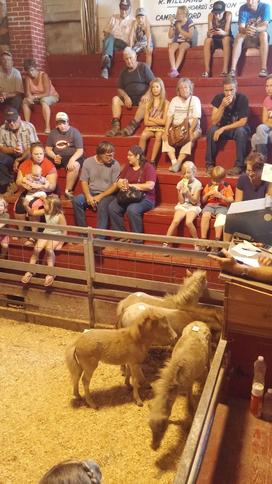 Hoards Station Sale Barns | Hoards Stn, Campbellford, ON K0L 1L0, Canada | Phone: (705) 653-3660