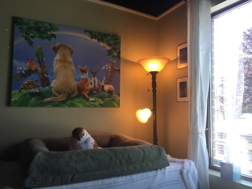 Peterborough Pet Memorial | near 799, OBrien Dr, Peterborough, ON K9J 6X7, Canada | Phone: (705) 775-5736