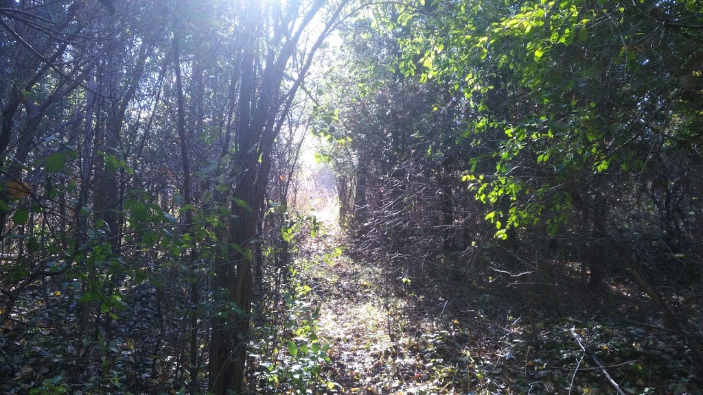 Carter Drive Wooded Area | Grange Hill East, Guelph, ON N1E 1Y1, Canada