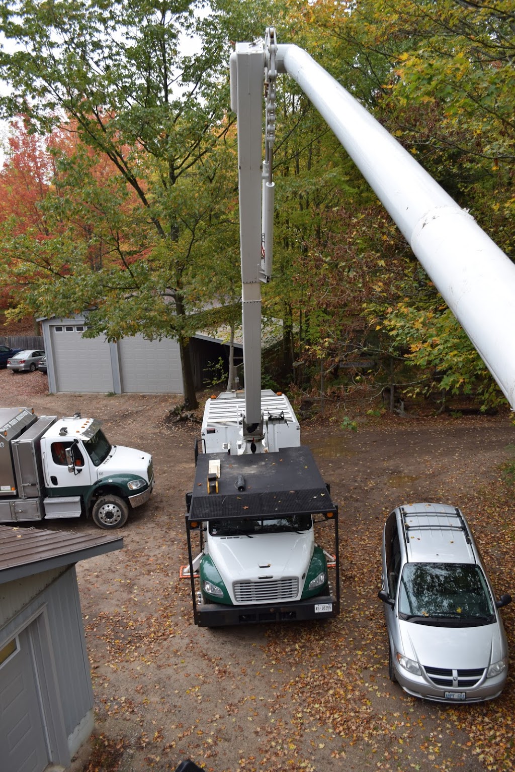 Rays Tree Service | 84 Concession 5 East, Tiny, ON L0L 2T0, Canada | Phone: (705) 322-1556