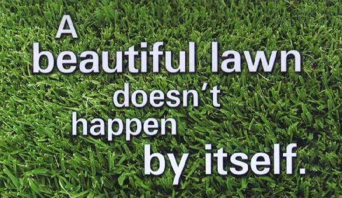 Noels Carpet Cleaning & Building Maintenance | 700 Osgoode Dr Unit 74, London, ON N6E 2H1, Canada | Phone: (519) 649-0734
