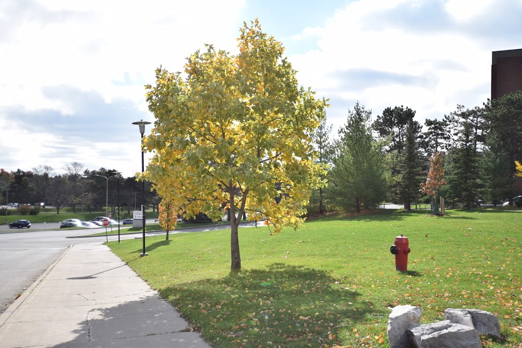 Physical Activities Complex (PAC) | 200 University Ave W, Waterloo, ON N2L 3G1, Canada | Phone: (519) 888-4567 ext. 33665