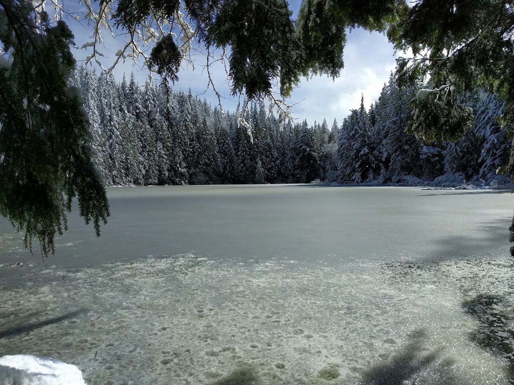 Cedar Lake Overlook | Bellingham, WA 98229, USA
