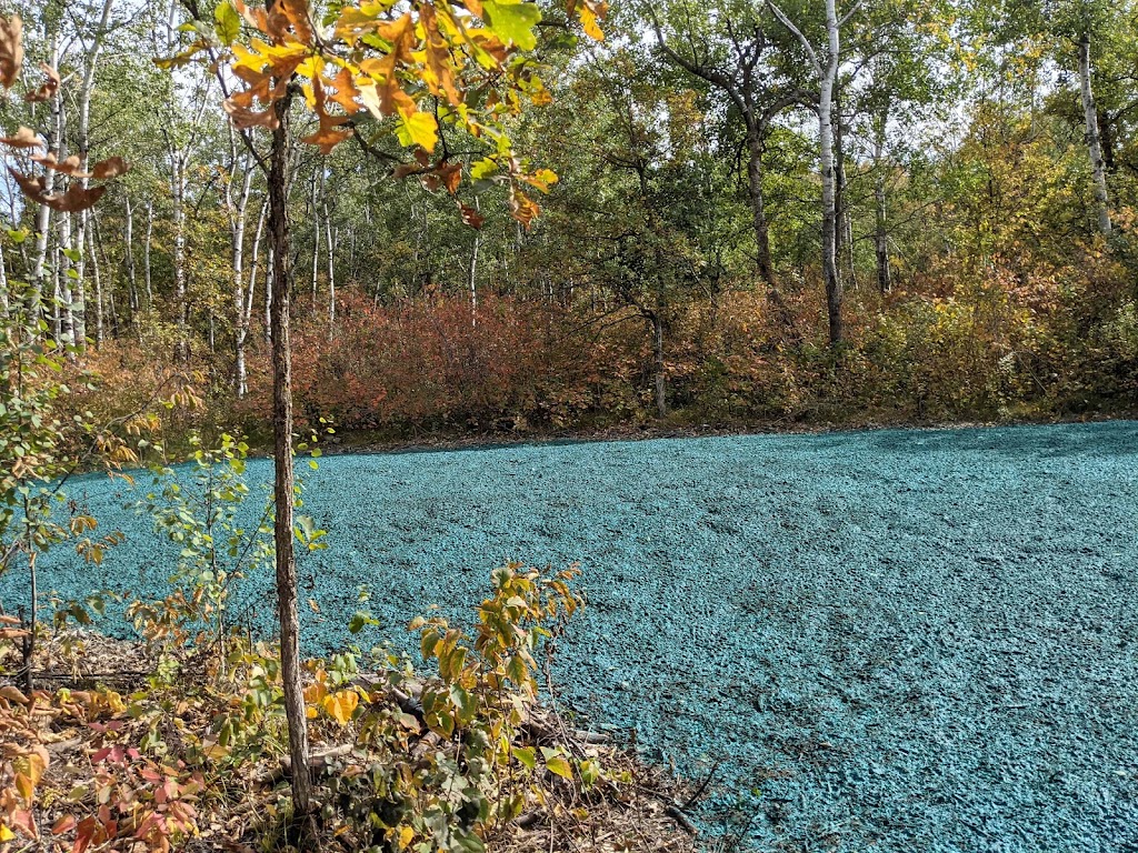 Hanover Hydroseeding | 36 Aspen Dr, Kleefeld, MB R0A 0V0, Canada | Phone: (204) 921-0888
