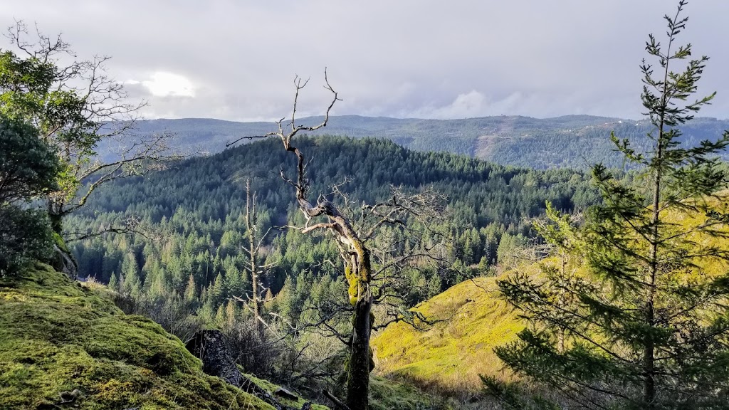 Lone Tree Hill | 1450 Millstream Rd, Victoria, BC V9B 6G1, Canada