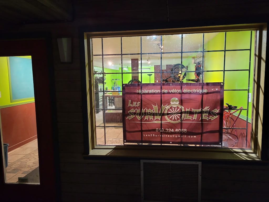 Les SurVoltés | 1337 Rue de la Sapinière, Val-David, QC J0T 2N0, Canada | Phone: (819) 324-6068