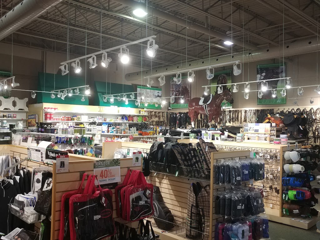 Greenhawk Equestrian Sport - Boucherville | 1200 Pl. Nobel, Boucherville, QC J4B 5L2, Canada | Phone: (450) 655-7111
