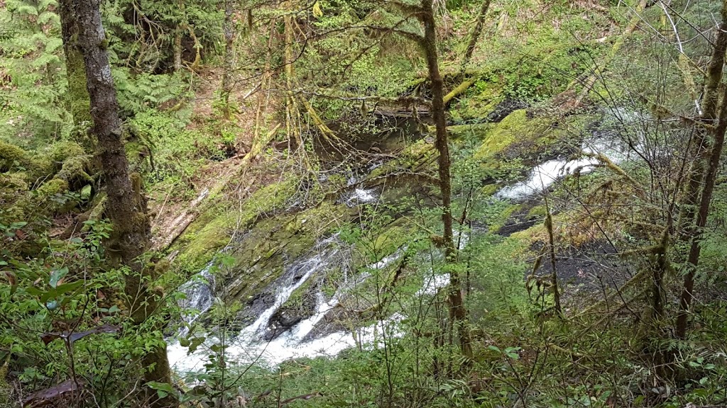 Cowichan River Provincial Park | Lake Cowichan, BC V0R 2G0, Canada | Phone: (877) 559-2115