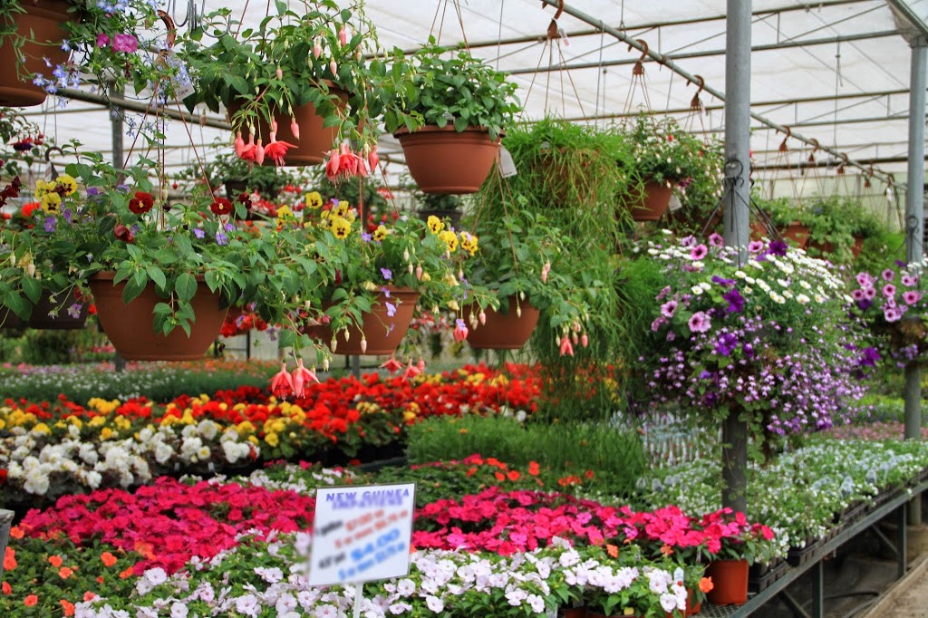 South Cooking Lake Greenhouses | 22324 Hwy 14, Sherwood Park, AB T8C 1H4, Canada | Phone: (780) 922-6765
