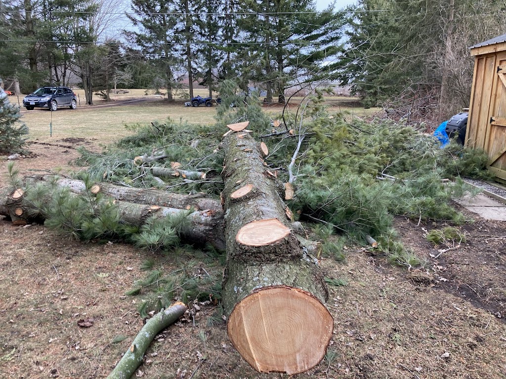 Frontenac Tree Service | 53 Huffman Rd, Yarker, ON K0K 3N0, Canada | Phone: (343) 884-6311